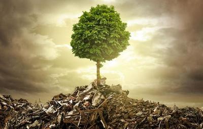 垃圾回收催生新職業(yè) 別因舊眼光錯(cuò)過新風(fēng)口